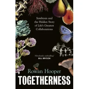 TOGETHERNESS
