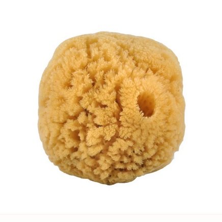 Akvarelsvamp fin, stor - 8cm 