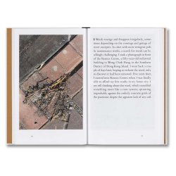 Weeds: A Germinating Theory