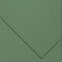 Canson Mi-Teintes - 50x65 cm, 160 g.