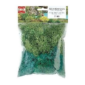 Busch Islandmos bldgjort, grn 7102