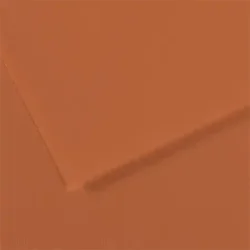 Canson Mi-Teintes - 50x65 cm, 160 g.