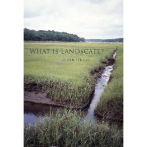 WHAT IS LANDSCAPE?