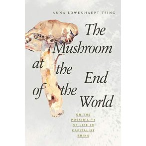 THE MUSHROOM AT THE END OF THE WORLD