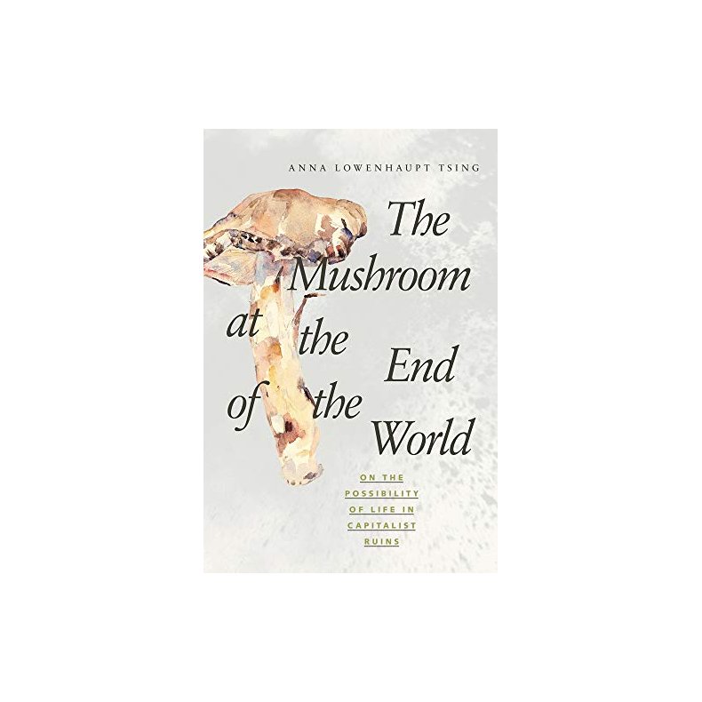 THE MUSHROOM AT THE END OF THE WORLD