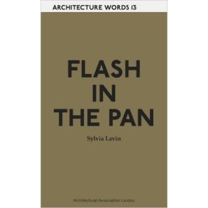 WORDS 13 FLASH IN THE PAN