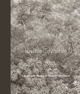 VISIBLE / INVISIBLE LANDSCAPE WORKS OF REED HILDEBRAND