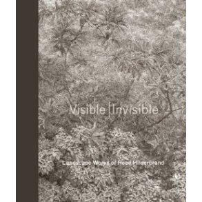 VISIBLE / INVISIBLE LANDSCAPE WORKS OF REED HILDEBRAND