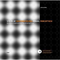 VISUAL PERCEPTION