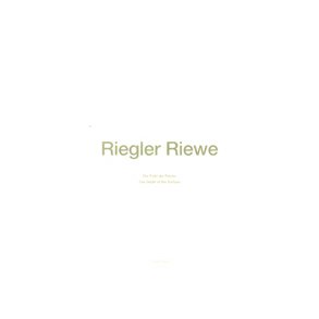 RIEGLER RIEWE DEPTH OF SURFACE